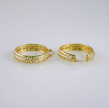 Cargar imagen en el visor de la galería, Versi hoop Earrings

