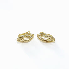 Cargar imagen en el visor de la galería, Earrings Trenzado
