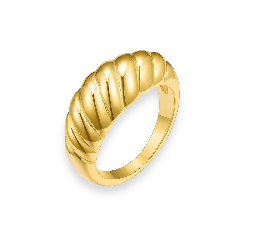 Anillo oruga