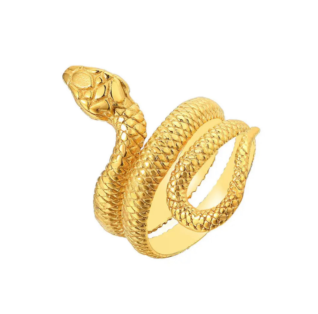 Snake Ring Stainless Steel