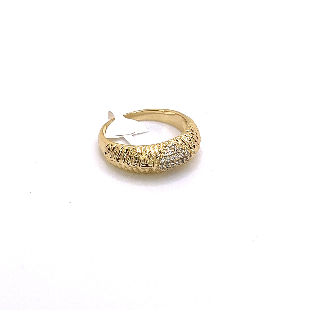 Anillo Oruga